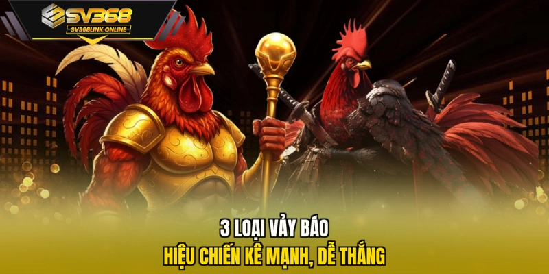 3 loại vảy báo hiệu chiến kê mạnh, dễ thắng