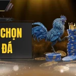 Cách Chọn Gà Đá