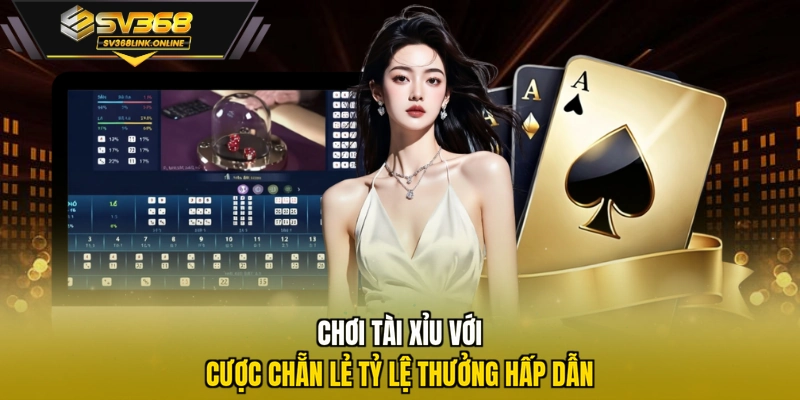 Chơi Tài Xỉu với cược chẵn lẻ tỷ lệ thưởng hấp dẫn