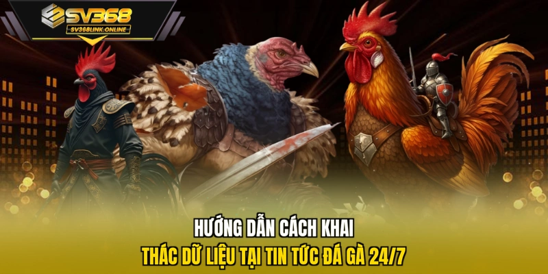 Hướng dẫn cách khai thác dữ liệu tại tin tức đá gà 24/7