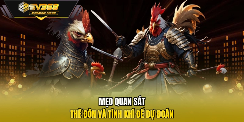 Mẹo quan sát thế đòn và tính khí để dự đoán