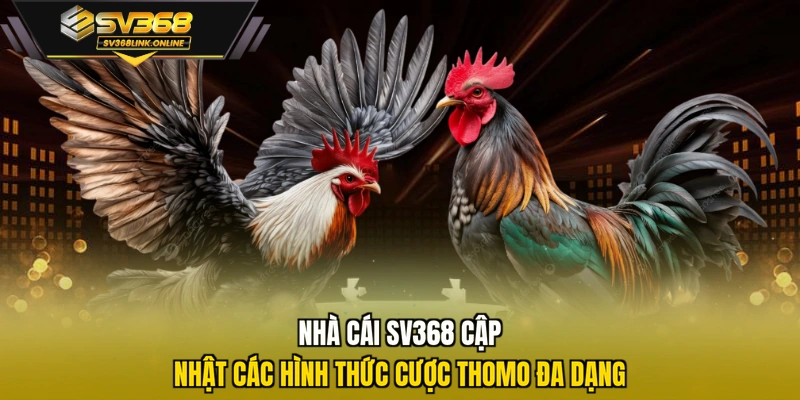 Nhà cái SV368 cập nhật các hình thức cược Thomo đa dạng