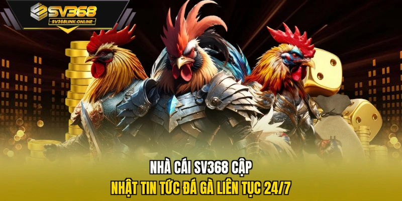 Nhà cái SV368 cập nhật tin tức đá gà liên tục 24/7